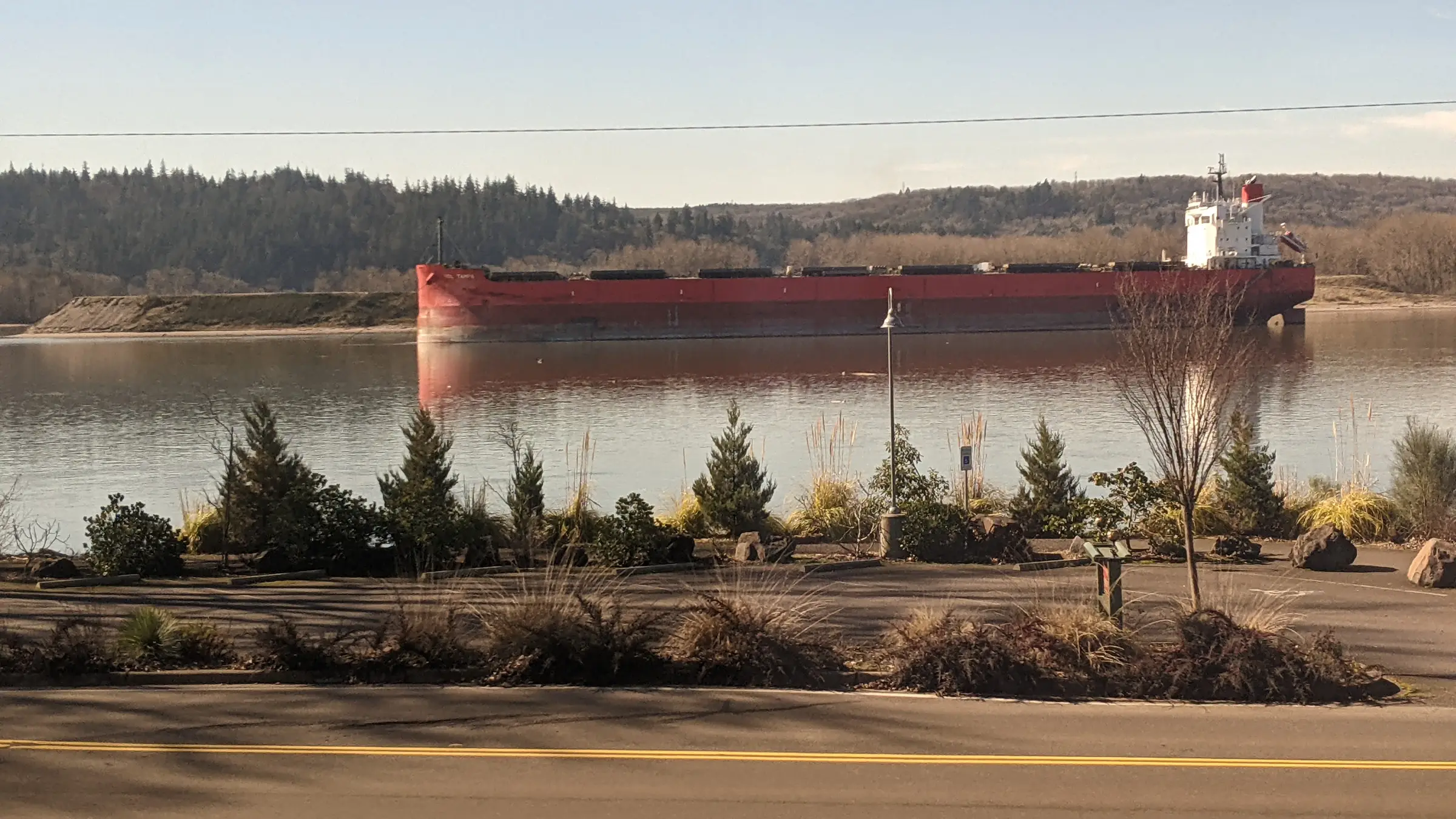 Premium industrial woodchips supplier BGK International bulk vessel logistics