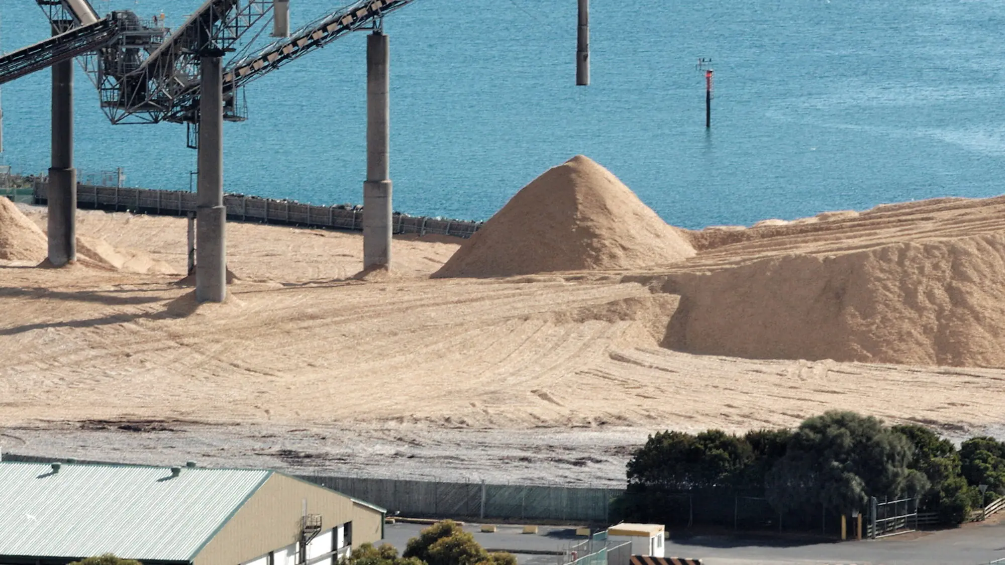 Premium industrial woodchips supplier BGK International