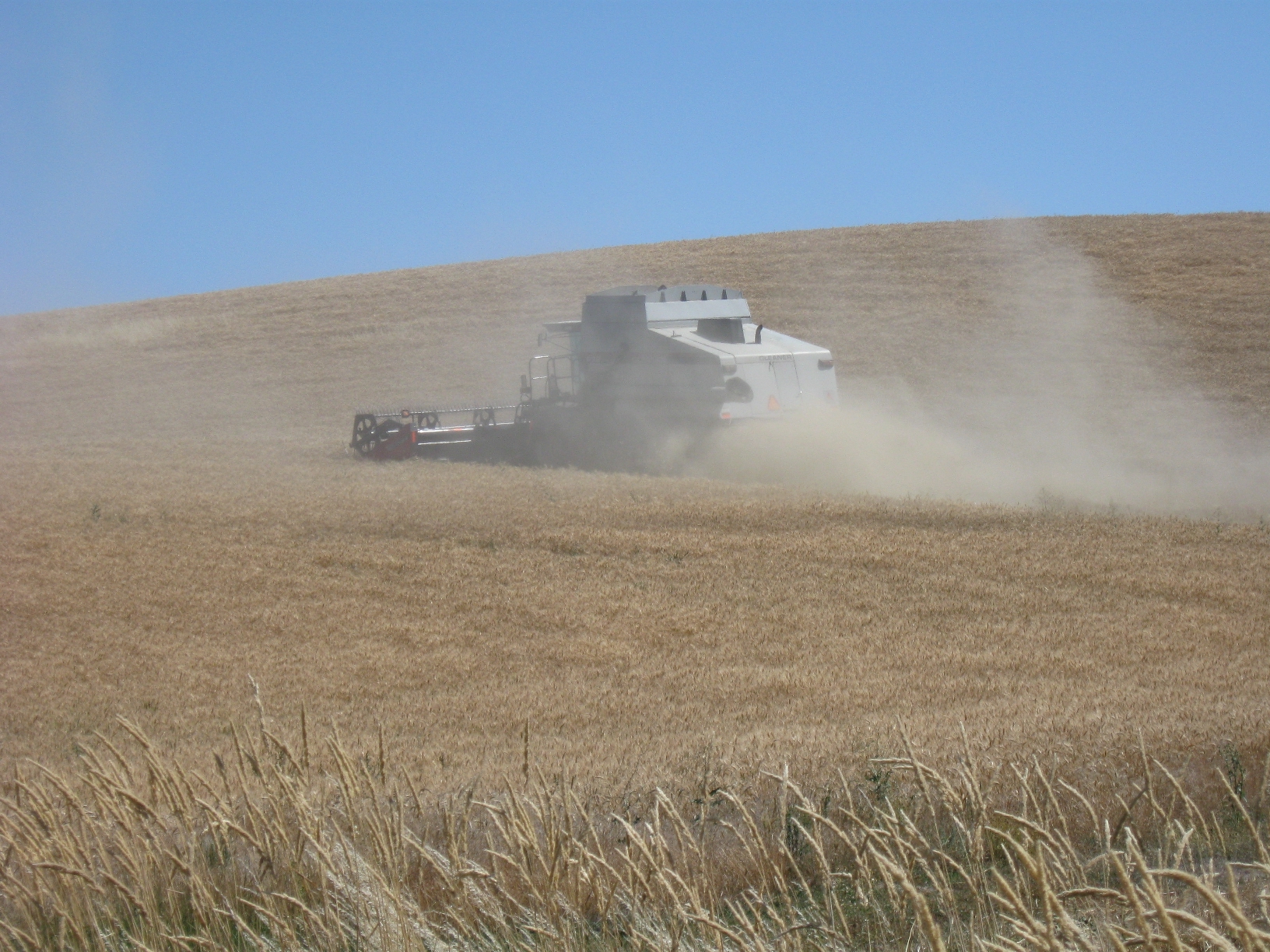 Gleaner combine at work in the Palouse