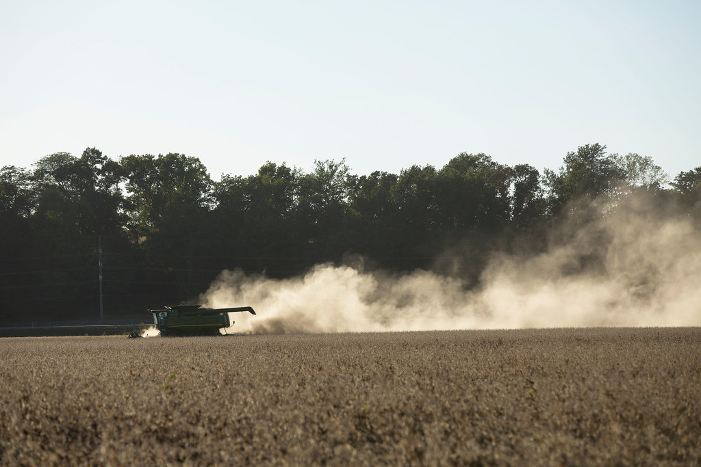 Soybean Harvest