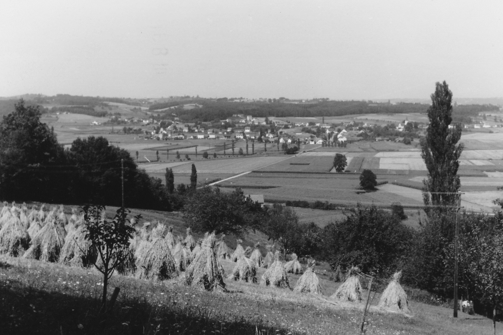 Grain harvest in Austria Heuschober Getreideschober Wheat harvest in Styria Getreideernte