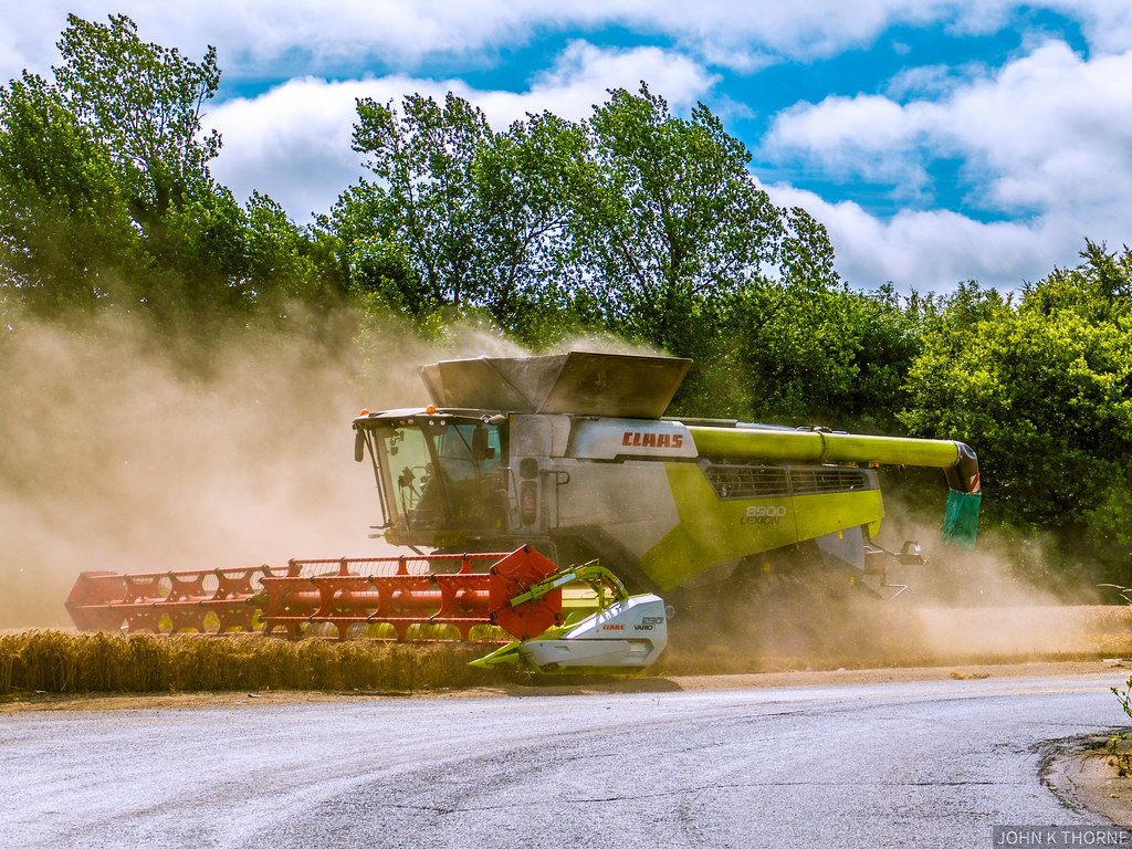 Weak China soy demand leaves little room for US cargoes