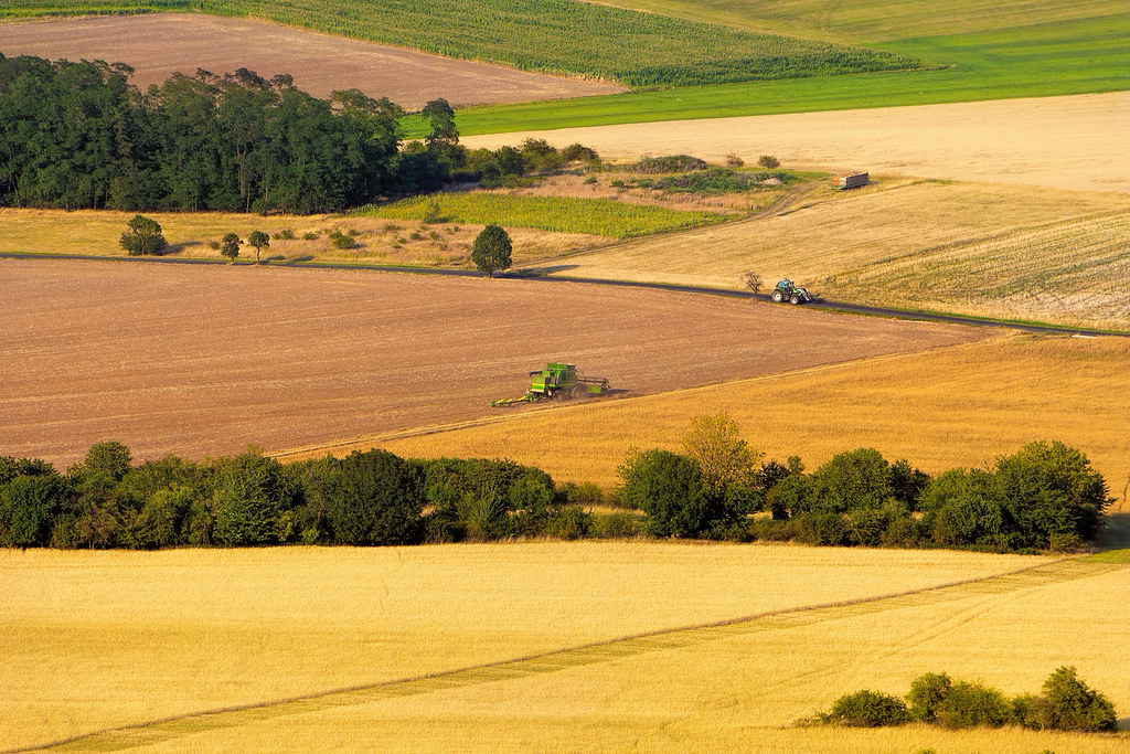Modern harvest time