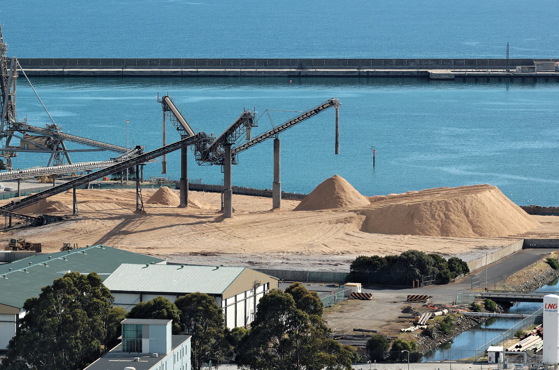 Premium industrial woodchips supplier BGK International