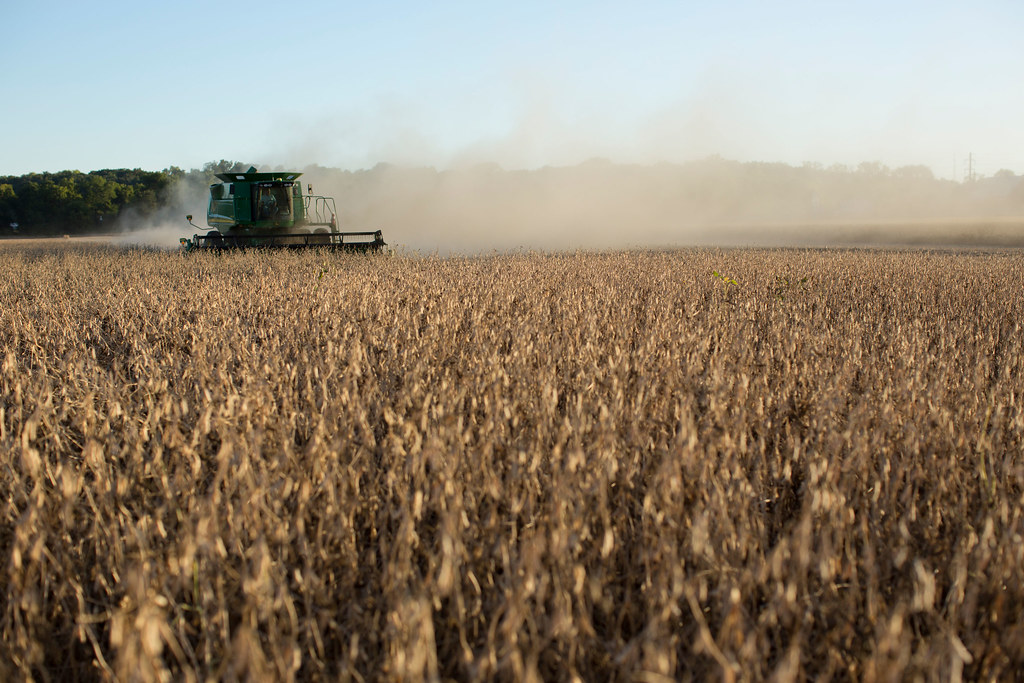 CME corn 528.75 ¢/bu ($5.29/bu) — 12 September 2026