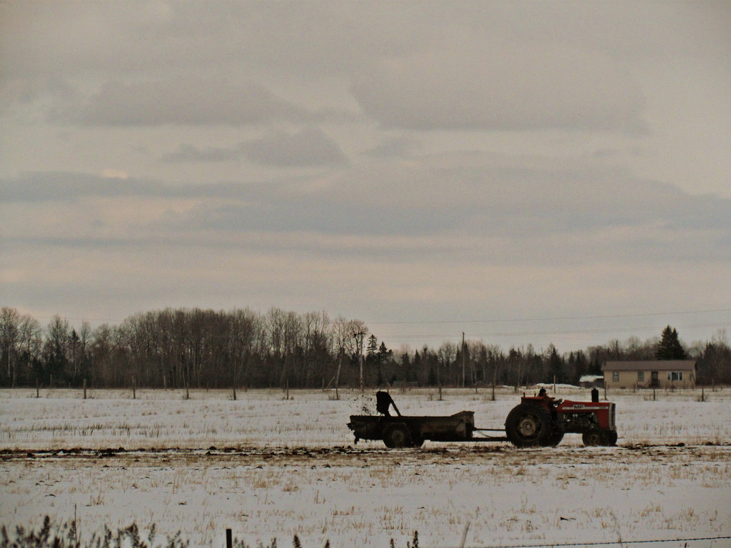 Fertilizing the Snow