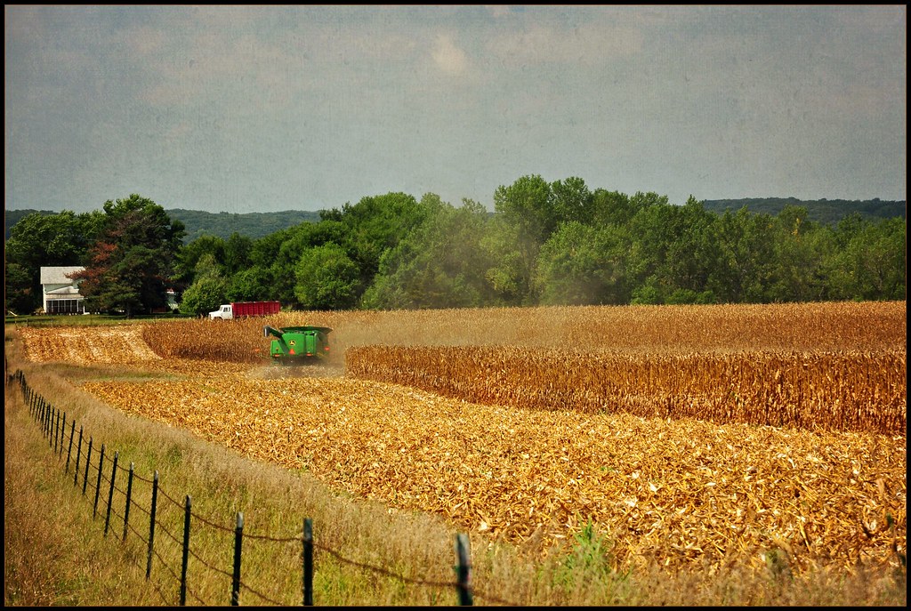 Early Harvest