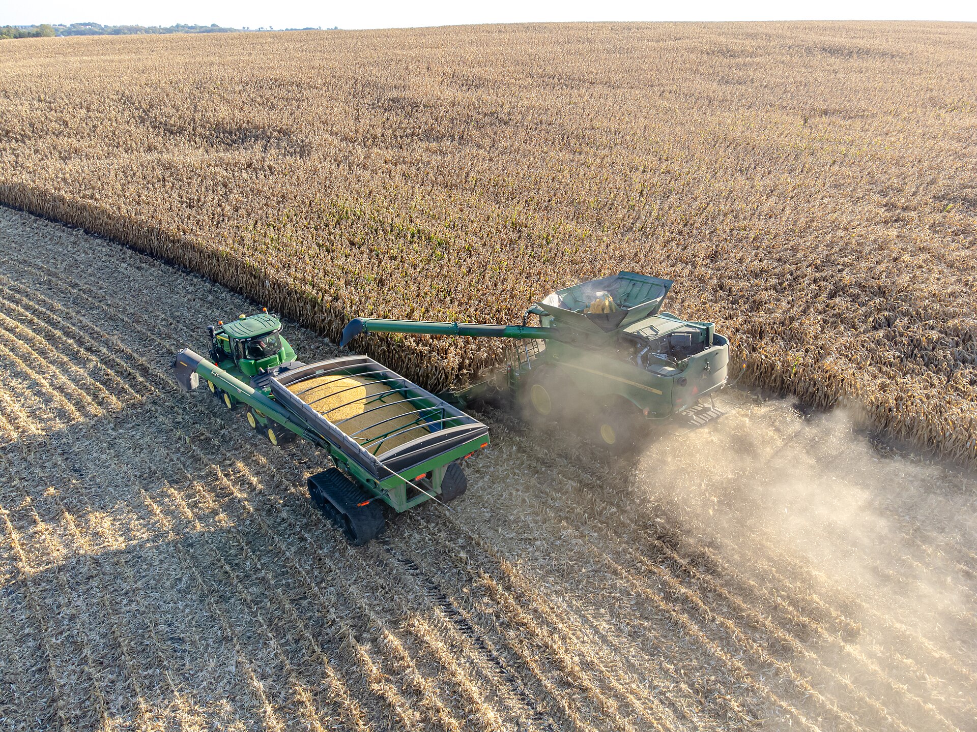 Corn combine harvest with grain cart-2