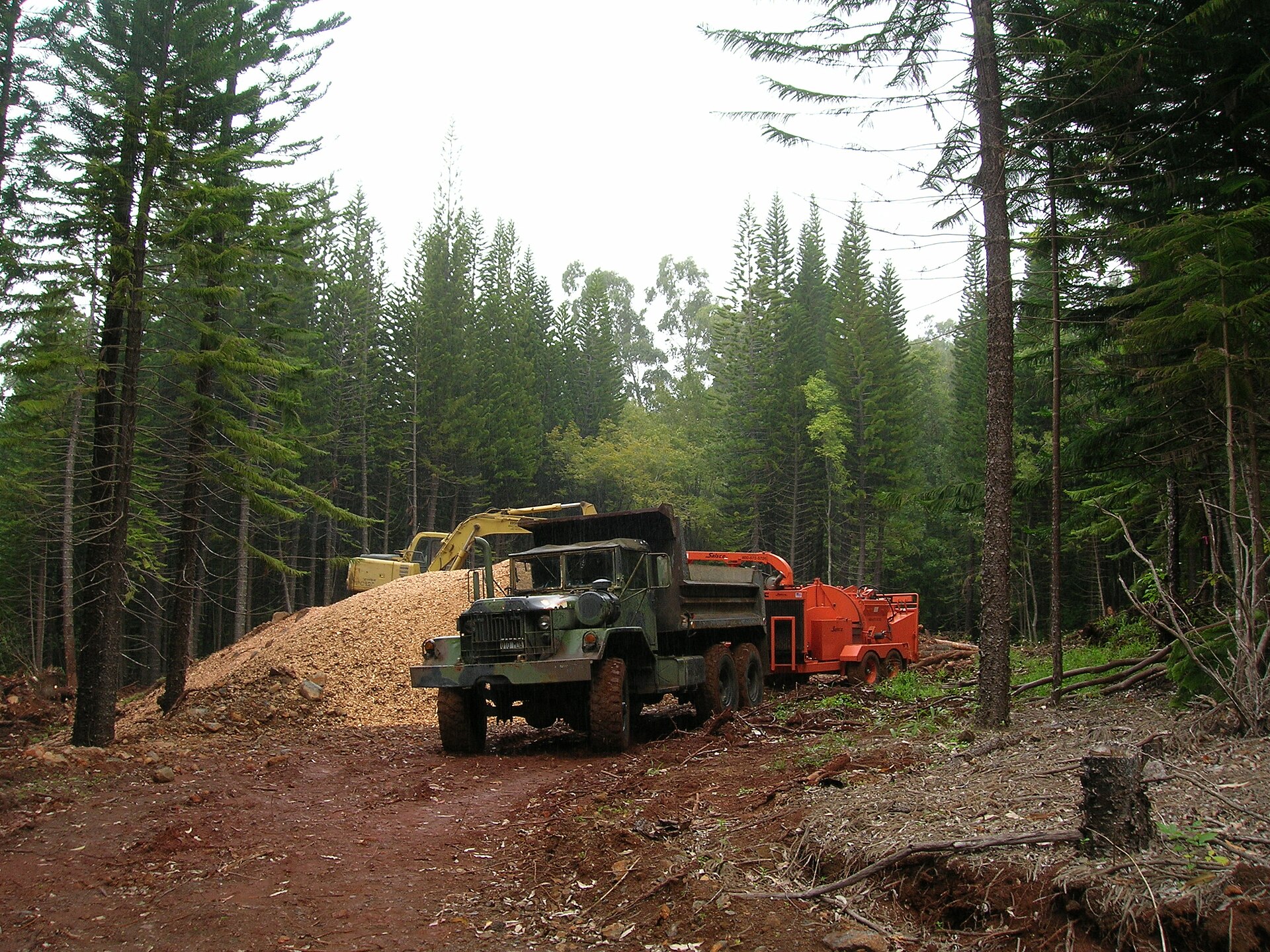 Weyerhaeuser $22.06 — 13 September 2026